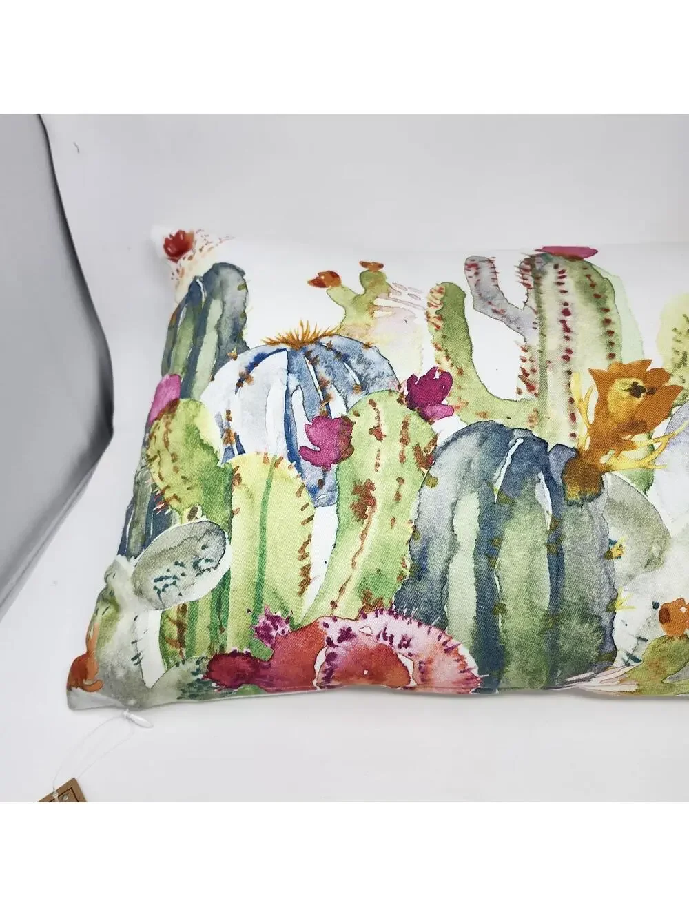 Spring Novelty Cactus Watercolor Lumbar Pillow 14x20 NWT
